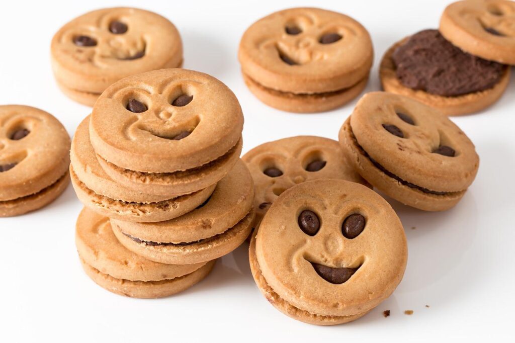 cookie, biscuit, round-3216243.jpg